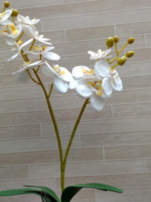 Orquídea branca artificial