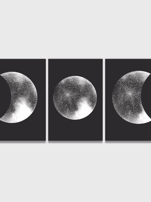 Qaudros fases da lua