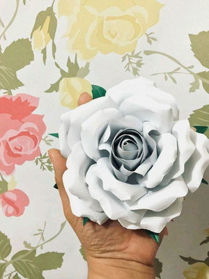 Rosas branca