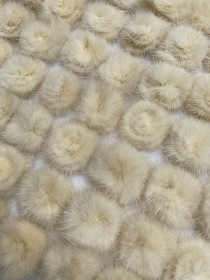 Meio pompom para colagem - marfim - 25mm - 5pçs