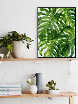 Quadro decorativo folhagem costela-de-adão
