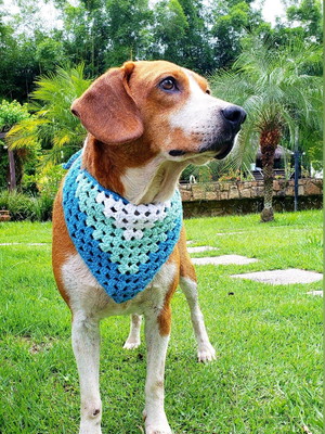 Bandana pet em crochê
