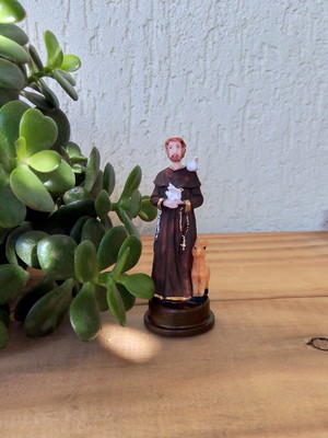 São francisco 9 cm