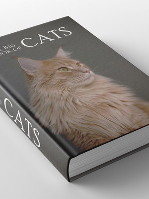 Caixa livro cats grande