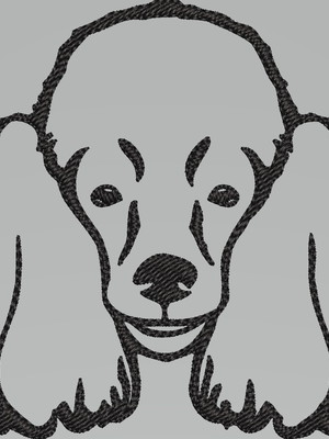 Matriz de poodle 2