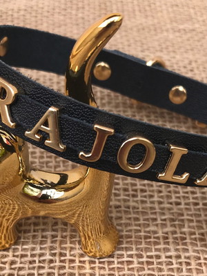 Coleiras personalizadas pet