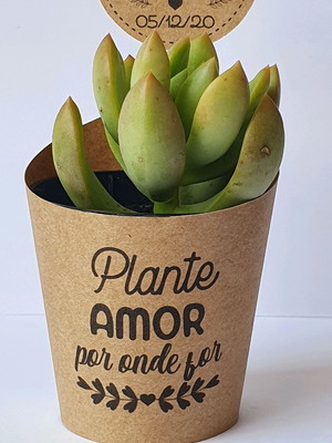 Lembrancinha casamento - suculentas