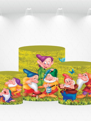 Kit de capas de cilindros branca de neve