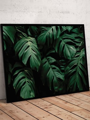 Quadro - planta costela-de-adão