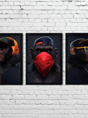 Conjunto 3 quadros macacos com moldura