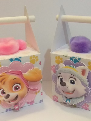 Caixa cubo com alça patrulha canina