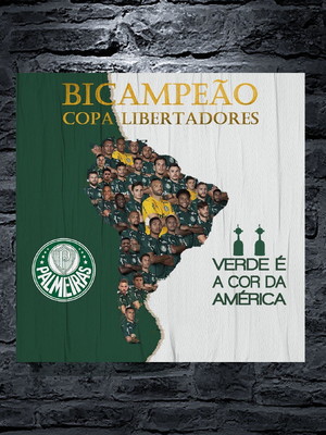 Placa decorativa verdão bi