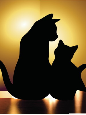 Gatos pra todos os lados