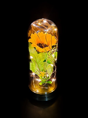 Luminária a bela e a fera o girassol encantado médio