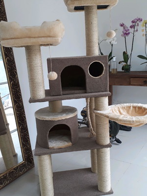 Arranhador para gato ternura com tapete