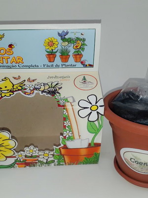 Kit vamos plantar coentro