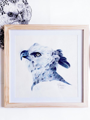 Pintura em aquarela - liquidação