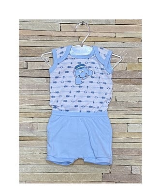 Conjunto tartaruga
