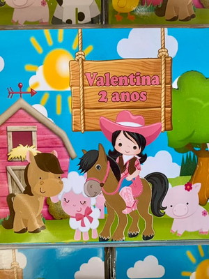 Estojo de pintura 30 peças fazendinha rosa