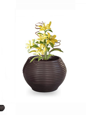 1 vaso de planta bromelia redondo polietileno plastico 25x30