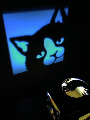 Luminária refletiva gatinhos 2