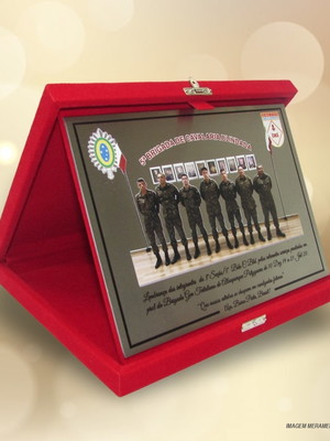 Placa de homenagem inox com estojo de veludo