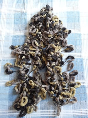 Cachecol sweet