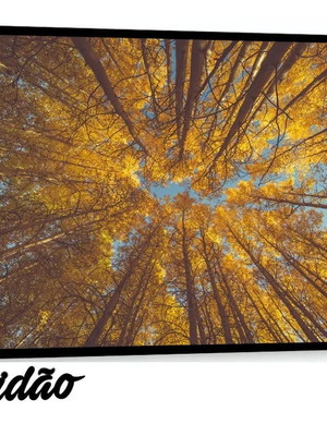1 quadro grande árvores paisagem molduras