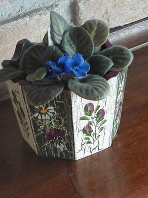 Cachepô para vaso pequeno-dc-05