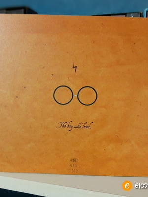 Quadro pôster - harry potter
