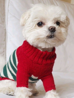 Roupa,blusa pet em lã tam.g.gg.ggg.e pug