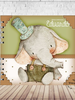 Livro do bebê adoção