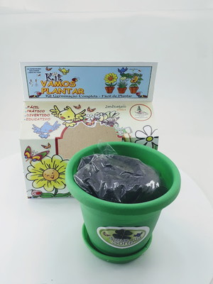 Kit vamos plantar trevo de 4 folhas
