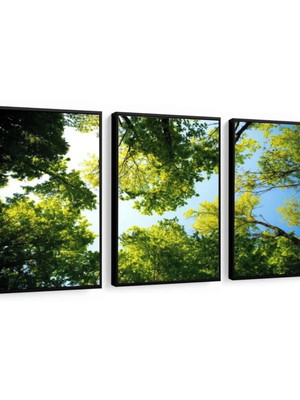 Quadros floresta: com vidro