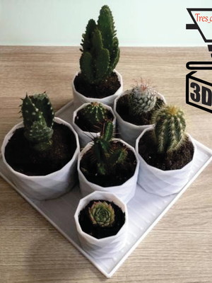 Kit de 7 vasos decorativos com bandeja para plantas suculent