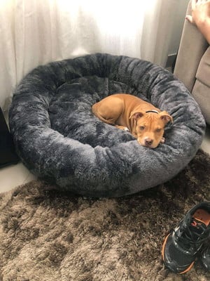 Cama para cachorro/gato nuvem donuts g 70x70