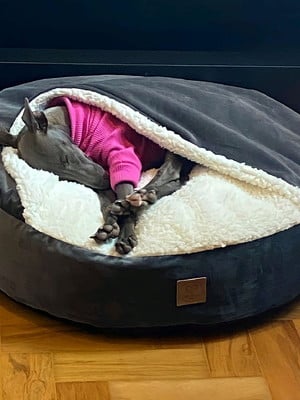 Cama para cachorro/gato cave com cobertinha acoplada m 60x60