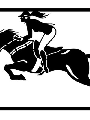 Quadro decorativo cavalo hipismo