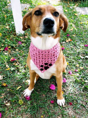 Bandana pet em crochê