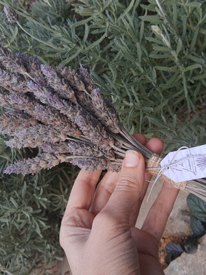 Lavanda flor natural desidratada