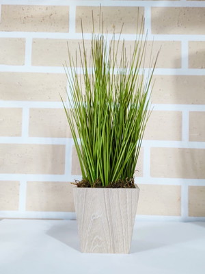 Vaso de madeira com capim verde
