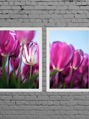 Quadros flor com moldura