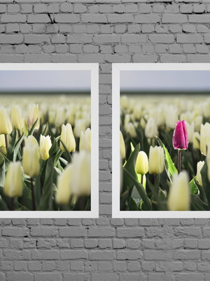 Quadros flor com moldura