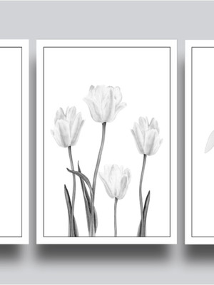 Quadros decorativo flores preta e branca: com vidro