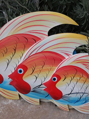 Peixe trio parede vermelho