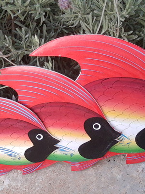 Peixe vermelho trio