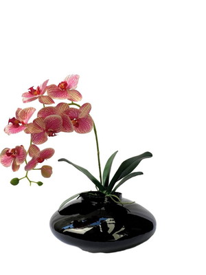 2 orquídeas artificial decoração silicone realista