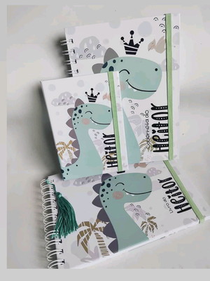 Kit caderneta de saúde + livro do bebe + porta documentos