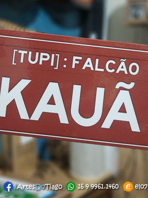 Placa de mdf - significado de nome