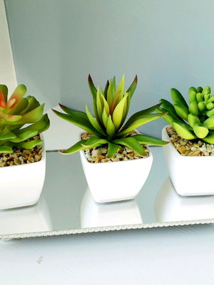 Trio com mini suculentas artificiais!